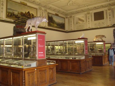 Museo de historia natural (41)